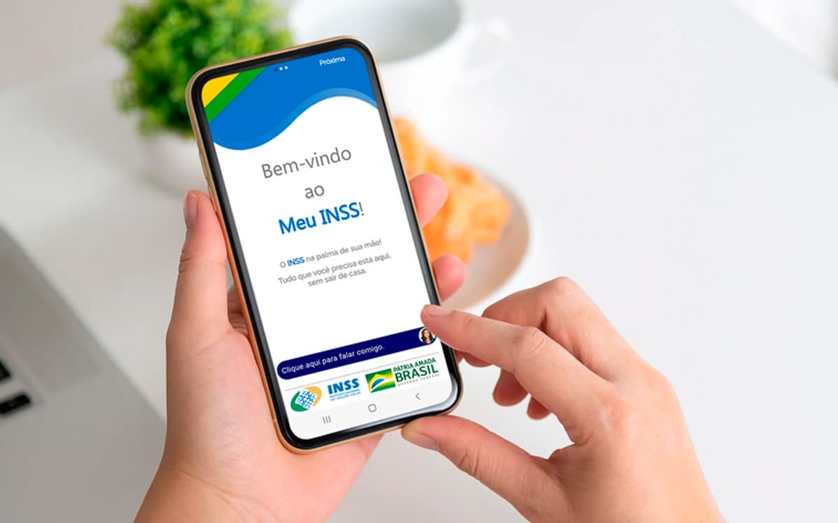 Como baixar e acessar o Meu INSS?