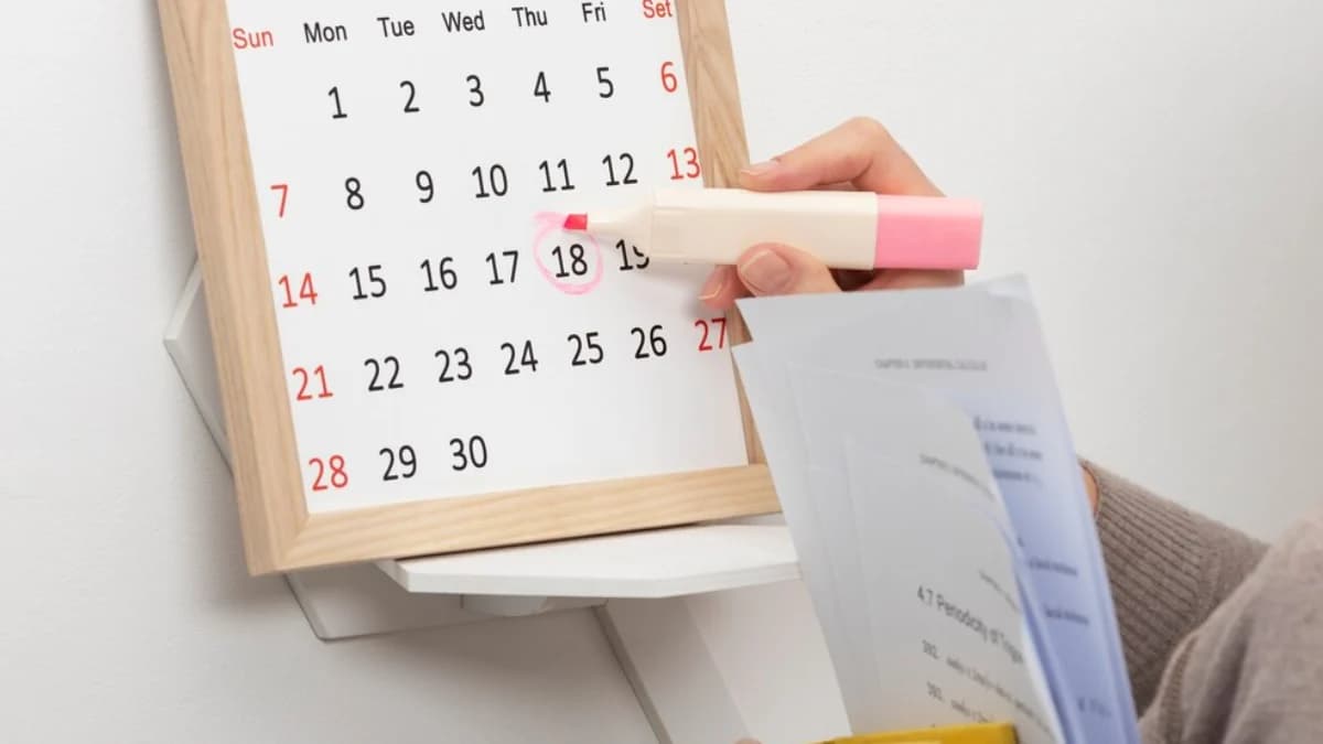 Brasil ganha novo feriado nacional; confira nova data e quais trabalhadores recebem folga